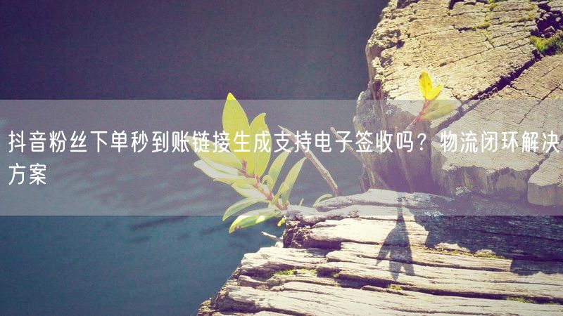 抖音粉丝下单秒到账链接生成支持电子签收吗？物流闭环解决方案