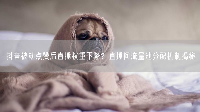 抖音被动点赞后直播权重下降？直播间流量池分配机制揭秘