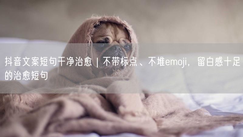 抖音文案短句干净治愈｜不带标点、不堆emoji，留白感十足的治愈短句