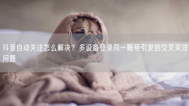抖音自动关注怎么解决？多设备登录同一账号引发的交叉关注问题