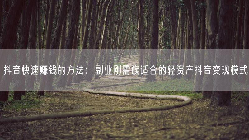 抖音快速赚钱的方法：副业刚需族适合的轻资产抖音变现模式