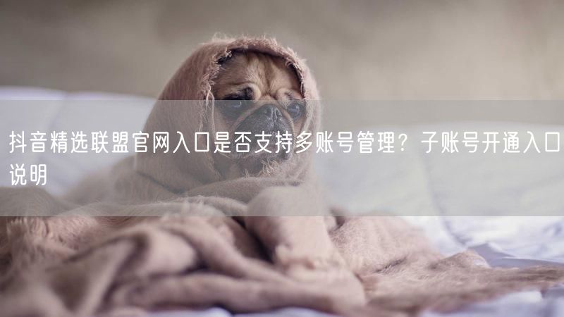 抖音精选联盟官网入口是否支持多账号管理?子账号开通入口说明