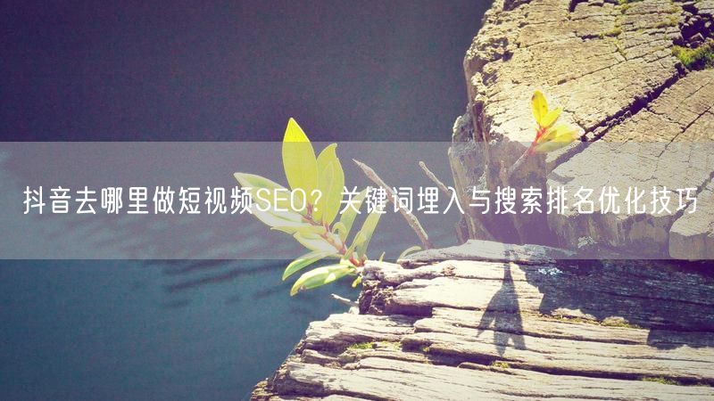 抖音去哪里做短视频SEO?关键词埋入与搜索排名优化技巧