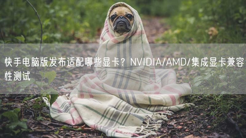 快手电脑版发布适配哪些显卡？NVIDIA/AMD/集成显卡兼容性测试