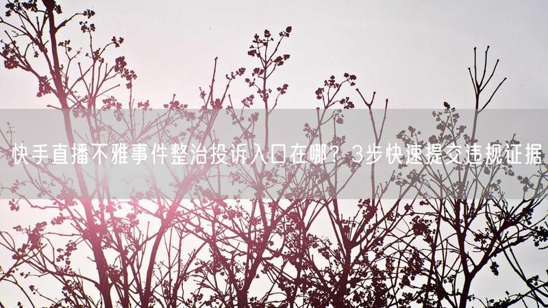 快手直播不雅事件整治投诉入口在哪？3步快速提交违规证据