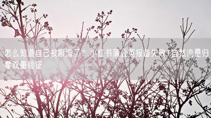 怎么知道自己被限流了？小红书蒲公英报备失败+自然流量归零双重验证