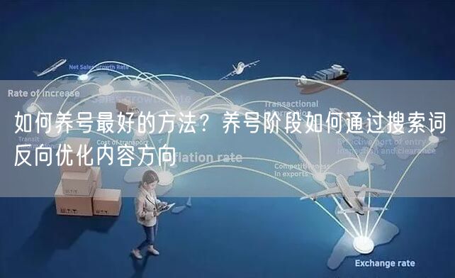 如何养号最好的方法？养号阶段如何通过搜索词反向优化内容方向