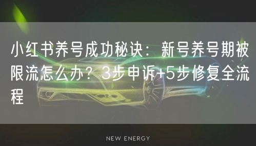 小红书养号成功秘诀：新号养号期被限流怎么办？3步申诉+5步修复全流程