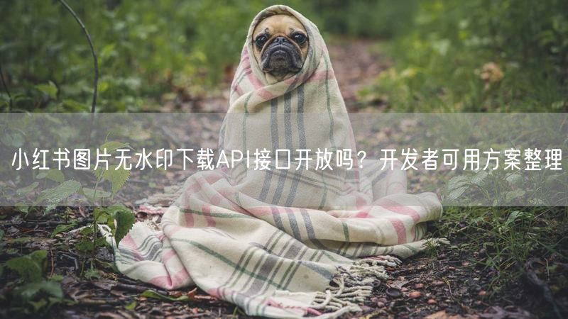 小红书图片无水印下载API接口开放吗？开发者可用方案整理