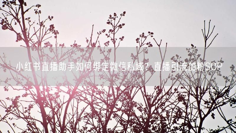 小红书直播助手如何绑定微信私域？直播引流加粉SOP