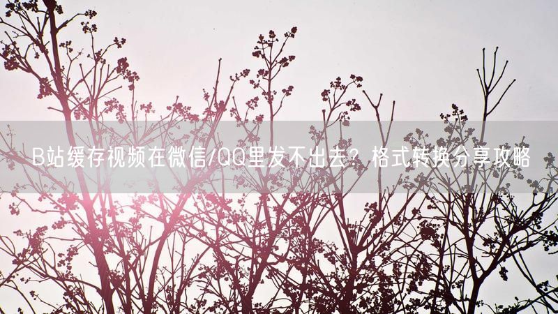 B站缓存视频在微信/QQ里发不出去？格式转换分享攻略