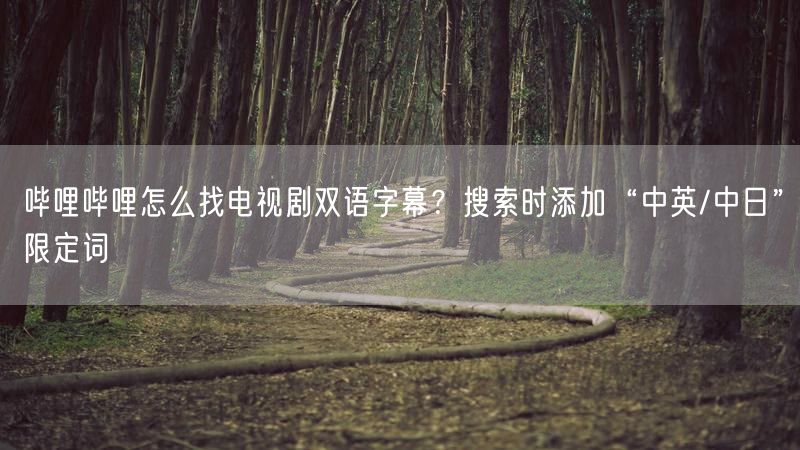 哔哩哔哩怎么找电视剧双语字幕？搜索时添加“中英/中日”限定词