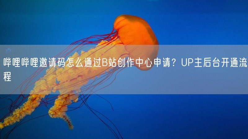 哔哩哔哩邀请码怎么通过B站创作中心申请？UP主后台开通流程