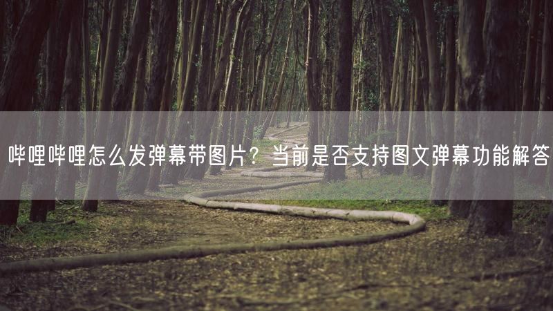 哔哩哔哩怎么发弹幕带图片？当前是否支持图文弹幕功能解答