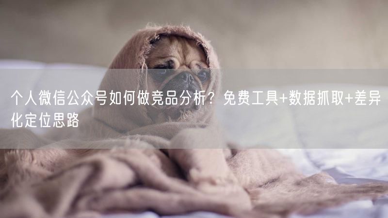 个人微信公众号如何做竞品分析？免费工具+数据抓取+差异化定位思路