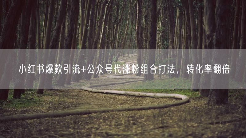 小红书爆款引流+公众号代涨粉组合打法，转化率翻倍