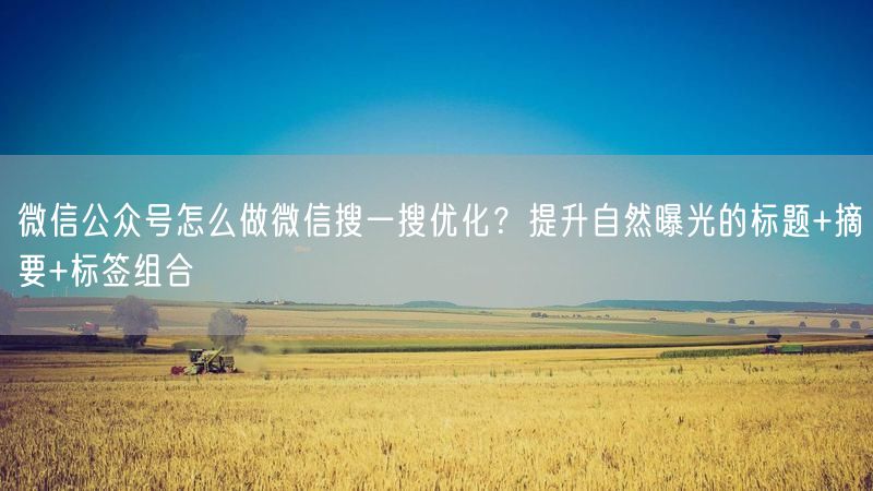 微信公众号怎么做微信搜一搜优化？提升自然曝光的标题+摘要+标签组合